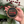 Hand holding a wooden ornament with American flag design and text, surrounded by greenery and berries.